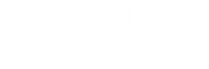 Evrensel Organizasyon